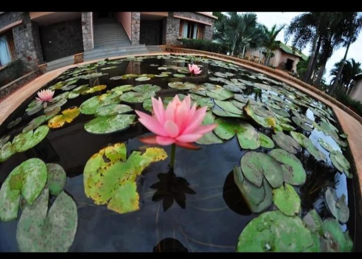 Krishna Heritage Resort Badami Extérieur photo